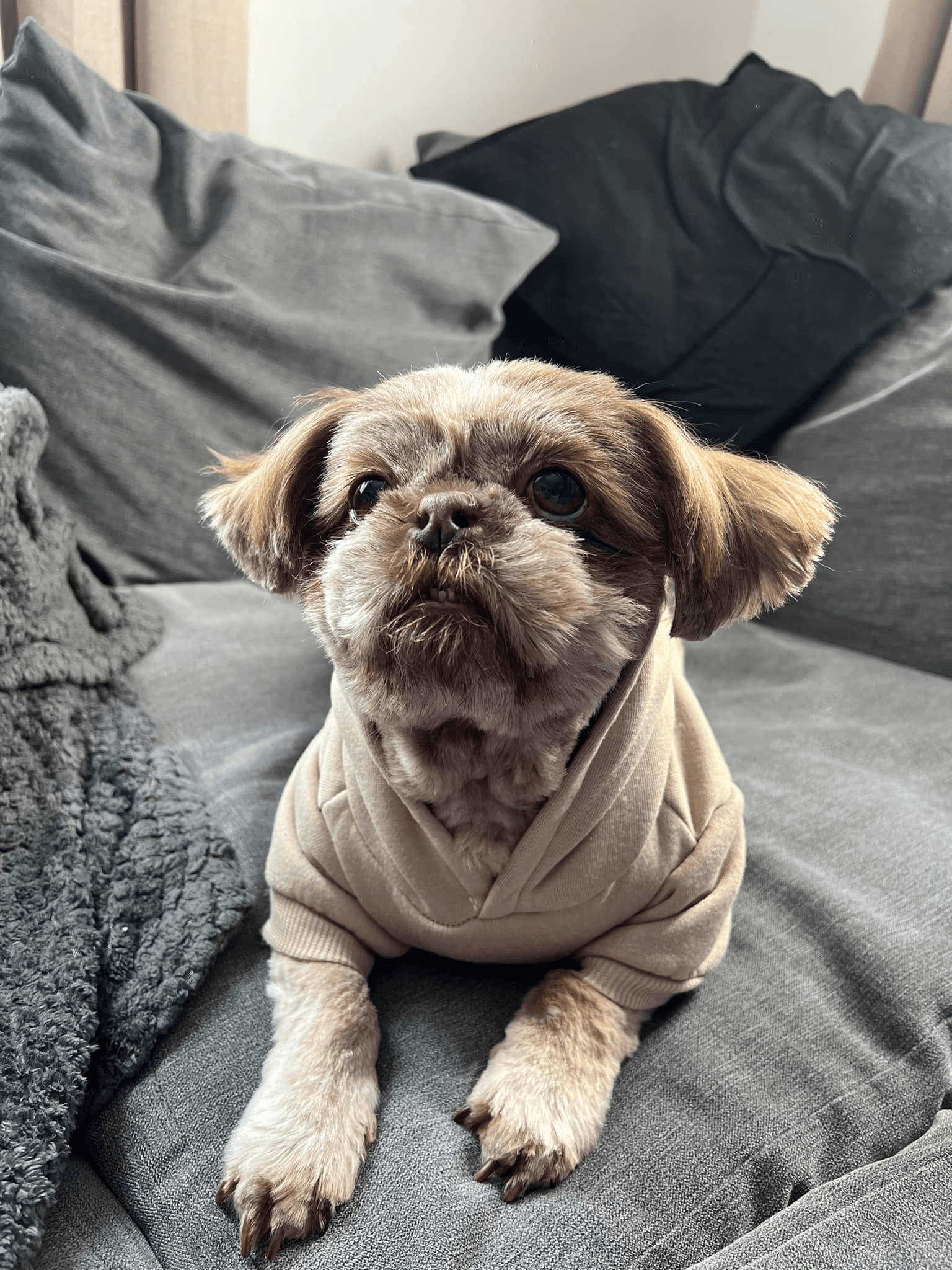 Finished 3D printed standing lithophane showing depth and tonal variation when backlit