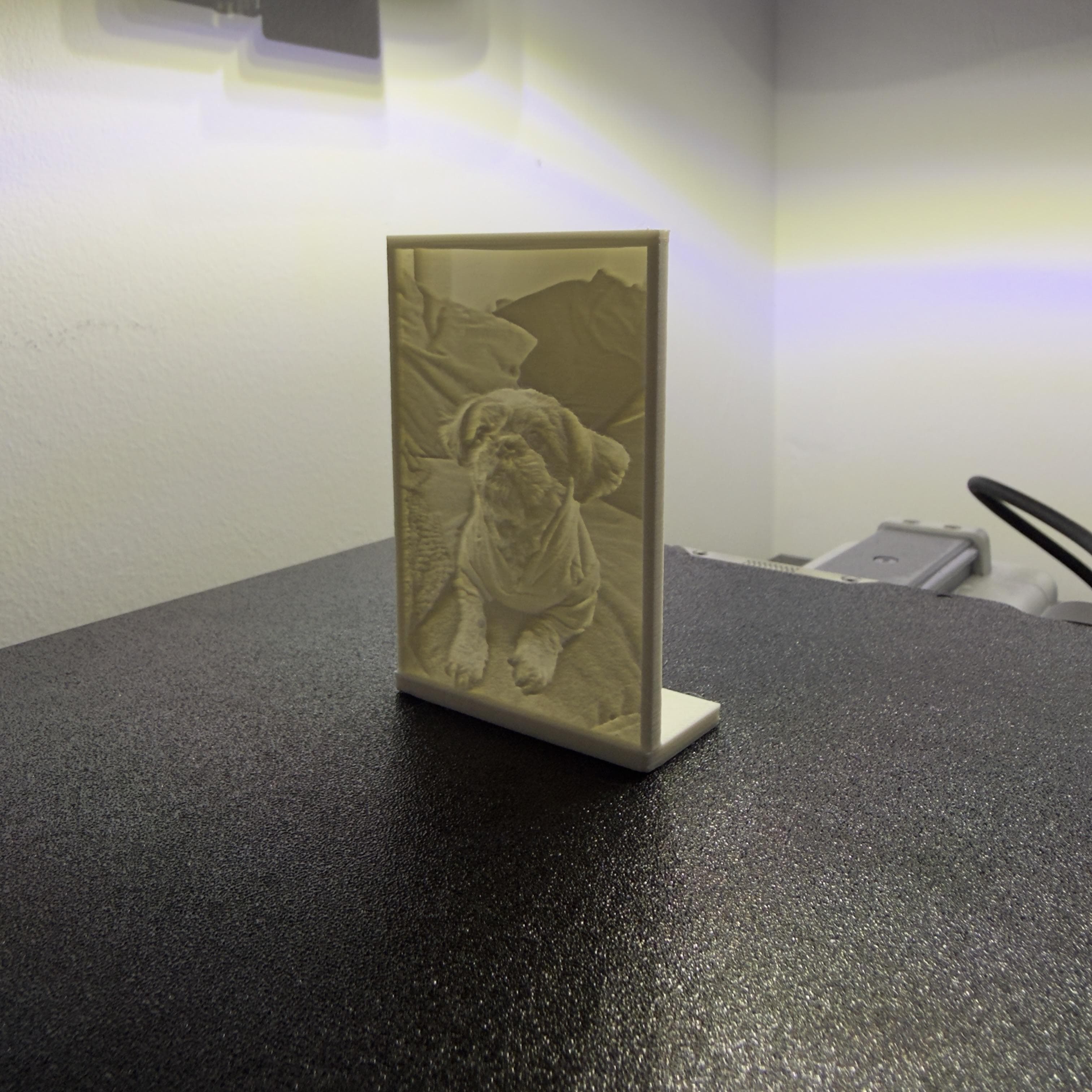 Original portrait photo used as the source image for a 3D printed lithophane